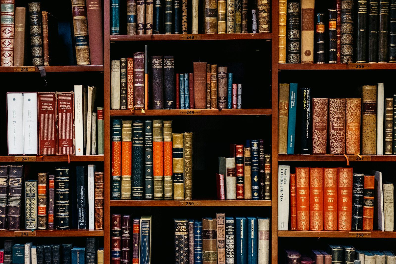 Library shelves of well-organized books — the cleaning knowledge hub