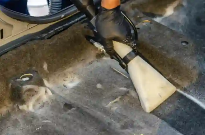 Commercial carpet cleaning services in Washington DC for offices and businesses by TotalMGT